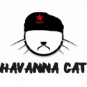 Havanna Cat - Copy Cat Aroma