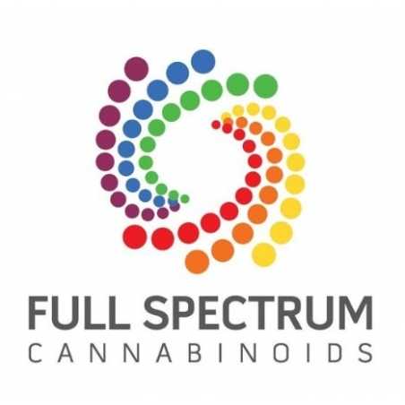 15 ml Cinnamint CBD VG (100 mg) Green Garden Gold 15 ml Cinnamint CBD VG (100 mg) Green Garden Gold