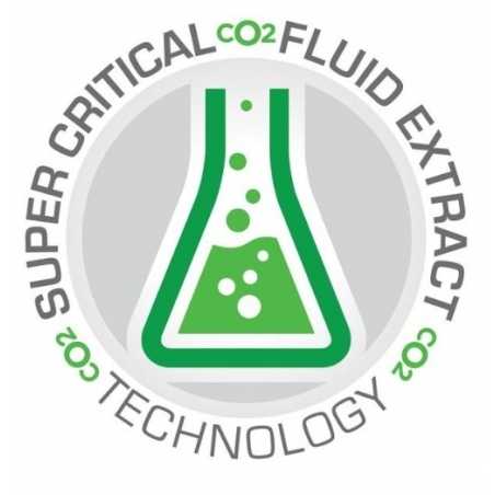 15 ml CBD Erdbeer Liquid (100 mg) 15 ml CBD Erdbeer Liquid (100 mg)