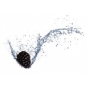 10 ml - Take It Brombeere Fruchtbonbon - Ellis Lebensmittel Aroma (DIY)