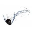 10 ml - Take It Brombeere Fruchtbonbon - Ellis Lebensmittel Aroma (DIY)