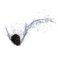 10 ml - Take It Brombeere Fruchtbonbon - Ellis Lebensmittel Aroma (DIY)Brombeere Fruchtbonbon - Ellis Lebensmittel AromaGeschmack: Brombeere Fruchtbonbon10ml Flasche375Ellis Aromen6,40 CHFsmoke-shop.ch6,40 CHF
