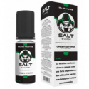 10 ml Green Storm SALT E-Vapor - 10mg- Nikotinsalz