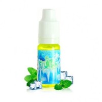 10ml SALT ICE Mint 20mg by Fruizee 