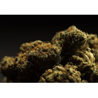 Pong Indoor CBD Blüten von ZUYA vers. FüllmengenLieferumfang: Pong Indoor CBD Blüten von ZUYA 10g  HanfblütenDie Pong CBD Indoor Blüten haben einen fruchtig und sehr angenehmen, harmonischen Zitrus Geschmack.Das Produkt ist 100% aus der Schweiz, natürlich und beinhaltet weder Tabak noch Nikotin.CBD Gehalt 20% TTHC Gehalt &lt; 1%Gewicht: 10 Gramm7447ZUYA Swiss CBD21,90 CHFsmoke-shop.ch21,90 CHF