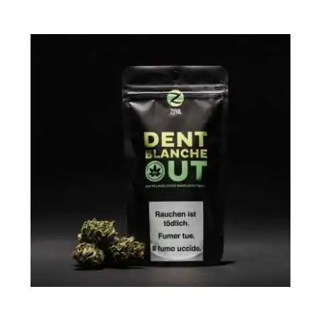 Dent Blanche CBD Blüten von ZUYA -5 Gramm