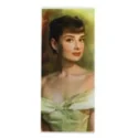 Schrumpfschlauch 18650 Hepburn