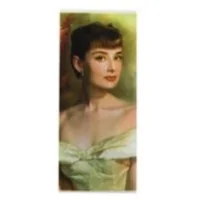 Schrumpfschlauch 18650 HepburnSchaffen sie Sicherheit bei Industriezellen.Lieferumfang: 1x Schrumpfschlauch  passend zugeschnitten auf 70mm für 18650 Zellen.Motiv: Schrumpfschlauch 18650 Hepburn 756118650 Batterie Schrumpfschlauch1,00 CHFsmoke-shop.ch1,00 CHF