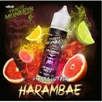 Harambae 100ML -Twelve Monkeys -Zitrus und GrapefruitLieferumfang: Harambae 100ML -Twelve Monkeys -Zitrus und GrapefruitGeschmack: Auf den müden Geist wartet mit Harambe ein exquisites Zitrusfest aus Grapefruit, Zitrone, Limette, Blutorange und GuaveChubby Flasche mit 120ml - Füllmenge 100ml - 0 mg Nikotin7949Twelve Monkey24,90 CHFsmoke-shop.ch24,90 CHF