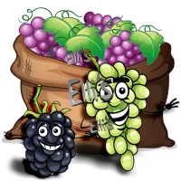 10 ml - Grape Dream - Ellis Lebensmittel Aroma (DIY) TraubeLieferumfang: Grape Dream - Ellis Lebensmittel Aroma (DIY) TraubeLebensmittelaroma 10ml Geschmack:  das Zusammenspiel einiger Beeren mit einer deutlichen Traubennote E-Liquid und Dampfer geeignet Zum selbermischen (Aromen nie pur dampfen) 451Ellis Aromen6,40 CHFsmoke-shop.ch6,40 CHF