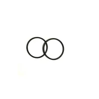 V6S O-Ring Set von Vapor Giant (2 Stück) - gratis-