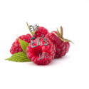 10 ml - Himbeere - Ellis Lebensmittel Aroma (DIY)
