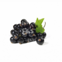 10 ml - Johannisbeere Schwarz - Ellis Lebensmittel Aroma (DIY)