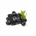 10 ml - Johannisbeere Schwarz - Ellis Lebensmittel Aroma (DIY)