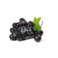 Johannisbeere Schwarz - Ellis Lebensmittel Aroma