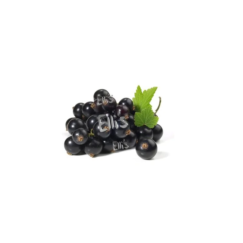 10 ml - Johannisbeere Schwarz - Ellis Lebensmittel Aroma (DIY)Lebensmittel Aroma Ellis&nbsp;Johannisbeere SchwarzGeschmck:&nbsp;Frischer Geschmack der schwarzen Johannisbeere 10ml Flasche8701Ellis Aromen6,40&nbsp;CHFsmoke-shop.ch6,40&nbsp;CHF