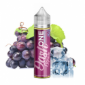 15 ml One Grape ICE Aroma - Dash Liquids (Longfill)