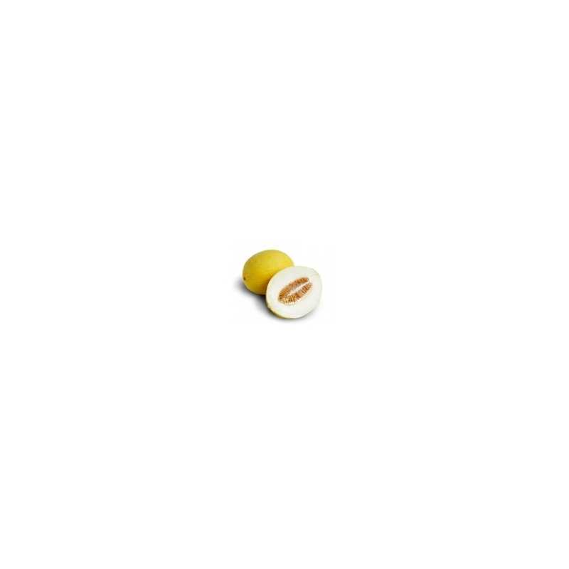 10 ml - Honigmelone - Ellis Lebensmittel Aroma (DIY)Lebensmittel Aroma: Typisch nach HonigmeloneGeschmack: Typisch nach Honigmelone10ml Flasche788Ellis Aromen6,40 CHFsmoke-shop.ch6,40 CHF 10 ml - Honigmelone - Ellis Lebensmittel Aroma (DIY)Lebensmittel Aroma: Typisch nach HonigmeloneGeschmack: Typisch nach Honigmelone10ml Flasche788Ellis Aromen6,40 CHFsmoke-shop.ch6,40 CHF