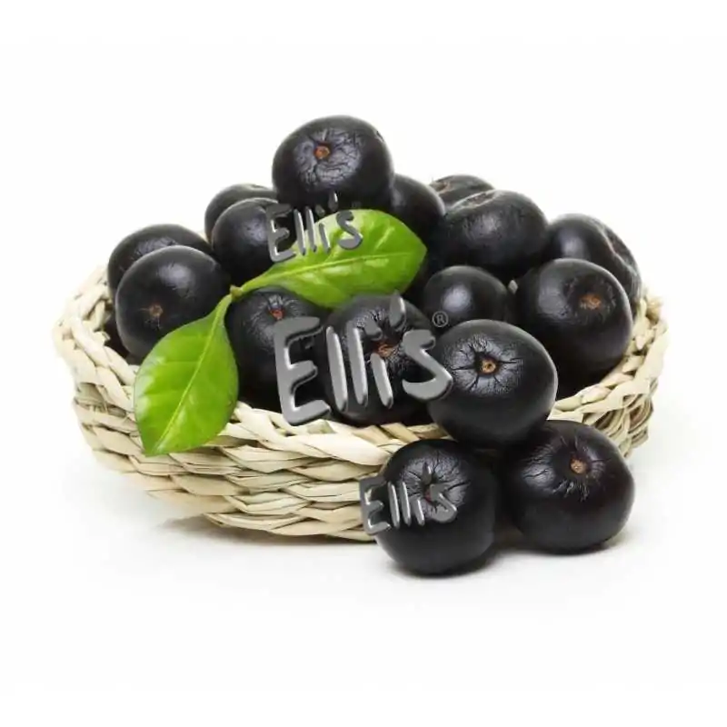10 ml - Acai - Ellis Lebensmittel Aroma (DIY)Ellis Lebensmittelaroma - AcaiGeschmack: süßlich, fruchtig, erdig10ml Flasche8903Ellis Aromen6,40 CHFsmoke-shop.ch6,40 CHF 10 ml - Acai - Ellis Lebensmittel Aroma (DIY)Ellis Lebensmittelaroma - AcaiGeschmack: süßlich, fruchtig, erdig10ml Flasche8903Ellis Aromen6,40 CHFsmoke-shop.ch6,40 CHF