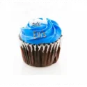 5 ml - Lebensmittelfarbe - BLAU - Ellis Aromen (DIY)