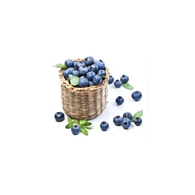 10 ml - Blaubeere / Heidelbeere Ellis Lebensmittel Aroma (DIY)Blaubeere / Heidelbeere - Ellis Lebensmittel AromaGeschmack: süß-säuerlich Blaubeer typisch 10ml Flasche Aromen nicht pur Dampfen1050Ellis Aromen6,40 CHFsmoke-shop.ch6,40 CHF 10 ml - Blaubeere / Heidelbeere Ellis Lebensmittel Aroma (DIY)Blaubeere / Heidelbeere - Ellis Lebensmittel AromaGeschmack: süß-säuerlich Blaubeer typisch 10ml Flasche Aromen nicht pur Dampfen1050Ellis Aromen6,40 CHFsmoke-shop.ch6,40 CHF