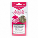 Berry Blossom Outdoor - The CBD House - Blüten CBD Blüten 3mg