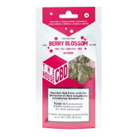 Berry Blossom Outdoor - The CBD House - Blüten CBD Blüten 3mgLieferumfang: Berry Blossom Outdoor Blüten CBD Blüten vers. Füllmengen in GrammDas Aroma von Berry Blossom CBD Blüten erinnert an Beeren und Acai. Sie sorgen für ein entspanntes Gefühl und helfen bei Verspannungen und Stress, dabei sorgen sie für Klarheit und Komfort. Die Outdoor im Kanton Genf angebauten Blüten haben ein CBD-Gehalt von 14 bis 18 %.Made in SwitzerlandCBD Gehalt: 14-18%10237The House CBD - Made in Switzerland -13,90 CHFsmoke-shop.ch13,90 CHF