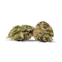 Berry Blossom Outdoor - The CBD House - Blüten CBD Blüten 3mgLieferumfang: Berry Blossom Outdoor Blüten CBD Blüten vers. Füllmengen in GrammDas Aroma von Berry Blossom CBD Blüten erinnert an Beeren und Acai. Sie sorgen für ein entspanntes Gefühl und helfen bei Verspannungen und Stress, dabei sorgen sie für Klarheit und Komfort. Die Outdoor im Kanton Genf angebauten Blüten haben ein CBD-Gehalt von 14 bis 18 %.Made in SwitzerlandCBD Gehalt: 14-18%10237The House CBD - Made in Switzerland -13,90 CHFsmoke-shop.ch13,90 CHF