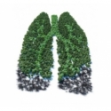 10 ml - Hibernias Segen - Ellis Lebensmittel Aroma (DIY)