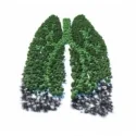 10 ml - Hibernias Segen - Ellis Lebensmittel Aroma (DIY)