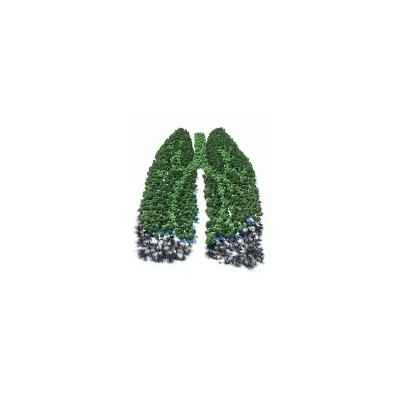 10 ml - Hibernias Segen - Ellis Lebensmittel Aroma (DIY)Ellis Lebensmittelaroma - Hibernias SegenGeschmack: eine Komposition aus verschiedenen grünen Früchten und einem hauch Menthol10ml Flasche1081Ellis Aromen6,40 CHFsmoke-shop.ch6,40 CHF