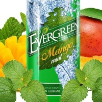 30 ml Evergreen - Mango Mint by Sique - Longfill (DIY)Lieferumfang: 30 ml Evergreen - Mango Mint by Sique Liquid (Shake&amp;Vape) LongfillDas Mango Mint Aroma von Evergreen ist eine tropisch süsse Mango die mit frischer Minze verfeinert wurde.Longfill = Flasche bis zum Rand mit Basis auffüllen, schütteln , fertig (30 ml in 120 ml Flasche)10844Sique (Berlin)12,90 CHFsmoke-shop.ch12,90 CHF