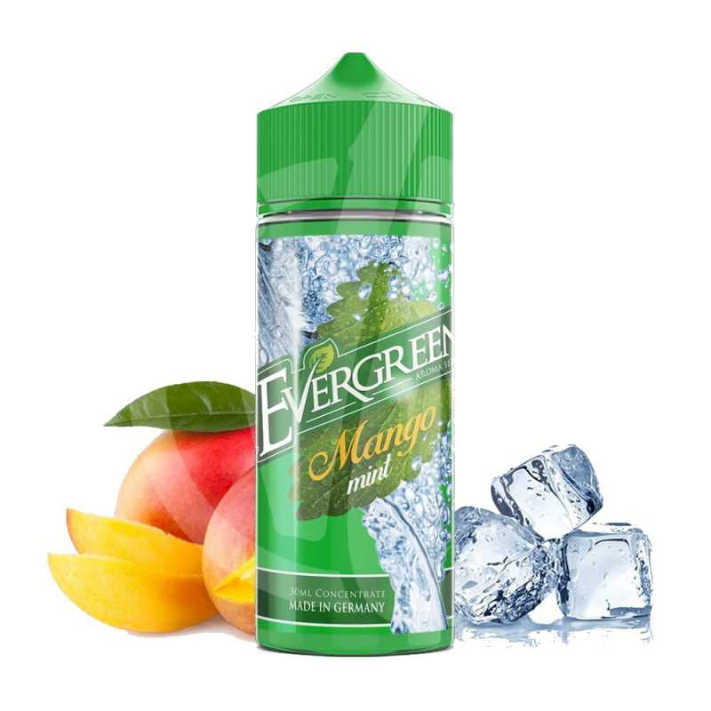 Mango Mint 30/120ml Longfill von Evergreen Aroma Lieferumfang
