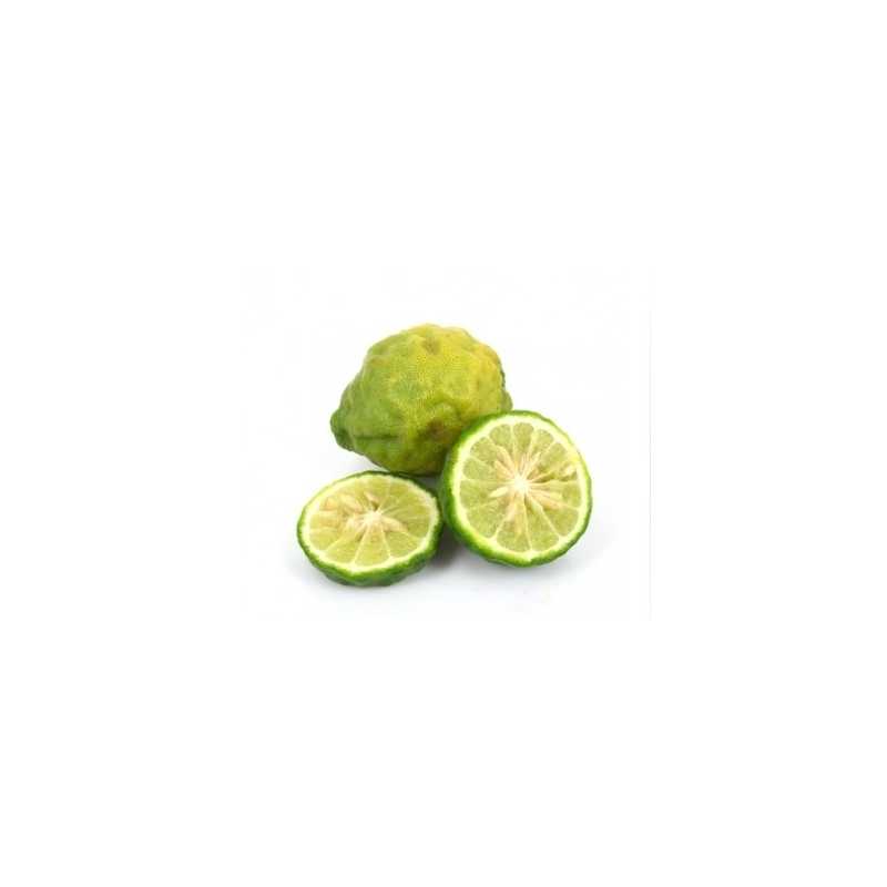 10 ml - Bergamotte - Ellis Lebensmittel Aroma (DIY)Lebensmittel Aroma Ellis BergamotteGeschmck: frisch Zitrusartig 10ml Flasche mit Kindersicherung1167Ellis Aromen6,40 CHFsmoke-shop.ch6,40 CHF 10 ml - Bergamotte - Ellis Lebensmittel Aroma (DIY)Lebensmittel Aroma Ellis BergamotteGeschmck: frisch Zitrusartig 10ml Flasche mit Kindersicherung1167Ellis Aromen6,40 CHFsmoke-shop.ch6,40 CHF