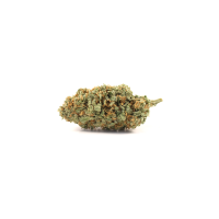 Masta ACDC Indoor CBD Blüten 5 grammMasta ACDC Indoor CBD Blüten 5 grIndoor CBD Blüten aus der SchweizDie Masta ACDC CBD Blüte glänzt mit einer intensiven fruchtigen Note und gehört zu den beliebtesten CBD Indoor Blüten.Masta ACDC ist eine ausgewogene Mischung aus Sativa und Indica Genetiken, abstammend von der legendären Sorte Cannatonic. Die Blüten haben einen Gehalt von etwa 18% CBD auf bis zu 0.9% THC.Herbert produziert Cannabis in modernen Indoor Anlagen und schafft somit perfekte Bedingungen für die Produktion von Blüten höchster Qualität. Lieferumfang: 5grohne THC10945Herbert Premium Swiss Indoor Cannabis CBD36,00 CHFsmoke-shop.ch36,00 CHF