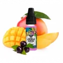 Mango Haze -Jungle Wave - Aroma (DIY)