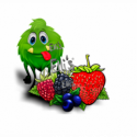 10 ml - Trollfrucht - Ellis Lebensmittel Aroma (DIY)