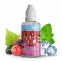 Berry Menthol - 30 ml von Vampire Vape - Aroma (DIY)