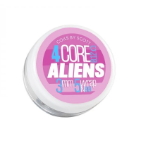 4-Core Alien 0.12 ohm Ni80 (2 Stück) Vorgewickelte Coils - Coils by Scott