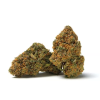 Qualicann - Banana Diesel - Indoor CBD Blüten - 2 grQualicann - Banana Diesel - Indoor CBD Blüten - 2 grHerstellerQualicannHerkunftSchweizAnbauartIndoorInhalt / Grösse2 g oder 5.5 g pro PackungCBD Gehalt18 %THC Gehalt&lt; 1 %13947ZUYA Swiss CBD18,90 CHFsmoke-shop.ch18,90 CHF