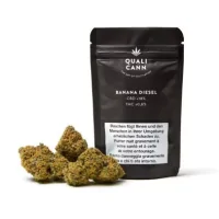 Qualicann - Banana Diesel - Indoor CBD Blüten - 2 grQualicann - Banana Diesel - Indoor CBD Blüten - 2 grHerstellerQualicannHerkunftSchweizAnbauartIndoorInhalt / Grösse2 g oder 5.5 g pro PackungCBD Gehalt18 %THC Gehalt&lt; 1 %13947ZUYA Swiss CBD14,90 CHFsmoke-shop.ch14,90 CHF