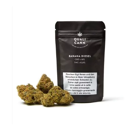 Qualicann - Banana Diesel - Indoor CBD Blüten - 2 gr