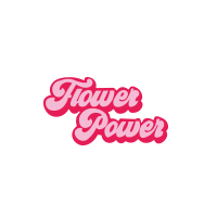 Hawaiian Fleur De CBD (3g) - Flower PowerHawaiian Fleur De CBD (3g) - Flower PowerDie Hawaiianische CBD-Blüte ist eine Hawaiianische Indica, die wegen ihres fruchtigen Geschmacks, der mit dem legendären Skunk-Geschmack kombiniert wird, sehr beliebt ist. Diese Pflanze wird am besten als Tee konsumiert, wo sie ihre therapeutische Wirkung entfaltet.Premium-Qualität 50% Sativia 50% Indica Greenhouse.Entdecken Sie die Vorteile von CBD: Anti-Stress-Mittel, reduziert Angstzustände und verbessert die Schlafqualität.CBD: 14.99% - THC 0.14%.Beutel mit 3 Gramm.14363Flower Power - CBD16,90 CHFsmoke-shop.ch16,90 CHF