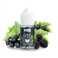 COZY Berries - Aroma (DIY) TRIBAL FORCE