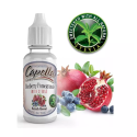 Blueberry Pomegranate - Capella Aroma 13ml (DIY)