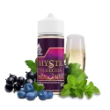 100 ml Mystic Bluecha von Flaschendunst - Shortfill