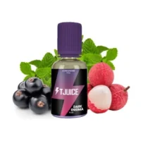 Aroma - Dark Enigma - 30ml von T-Juice GB (DIY)Lieferumfang: 1x Aroma - Dark Enigma - 30ml von T-Juice GB (DIY)Geschmack: Eine intensive Mischung aus schwarzer Johannisbeere und Litschi, die von belebender Minze überlagert wird.Aroma nicht Pur dampfen!Marke T-JuiceLand Vereinigtes KönigreichFruchtiger, süßer GeschmackVerpackung PE-Flasche 30ml mit kindersicherem Verschluss.Inhalt 30mlSteep-Zeit 1 WocheEmpfohlene Dosierung 10% bis 15%14993t-juice logo8,10 CHFsmoke-shop.ch8,10 CHF