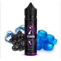 10 ml Ice Berg Cassis - Shake & Vape Aroma von Flavorist (longfill)