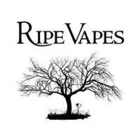 50ml - VCT Sweet Almond - Ripe Vapes - ShortfillLieferumfang: 50ml - VCT Sweet Almond - Ripe Vapes - ShortfillMit dem E-Liquid VCT Sweet Almond der Marke Ripe Vapes kommen Sie in den Genuss einer cremigen Vanille-Custards, die sich mit gerösteten Mandeln und feinem Pfeifentabak vereint. Ein vollaromatisches Geschmackserlebnis, das sich perfekt ausbalanciert zwischen süssen und klassischen Aromen befindet!60 ml P.E.T.-Fläschchen mit kindersicherem Verschluss.50 ml eLiquid mit hochdosierten Aromen.Geschmacksrichtung: süsser Tabak.Noten von Vanille, gebrannte Mandeln und Tabak.PG/VG-Verhältnis: 30/70.Nikotingehalt: 0 mg/mlHergestellt in den USA.16065Ripe Vapes Premium USA18,90 CHFsmoke-shop.ch18,90 CHF