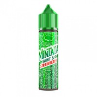 50 ml - Mint & Strawberry - Mintaïa by Eliquid - shortfill 0 mg50 ml - Mint &amp; Strawberry - Mintaïa by Eliquid - shortfillGeschmack:Entdecken Sie das e liquid Mint &amp; Strawberry Mintaïa 50 ml. Geschmack(en): Minze, Erdbeere. Das e-Liquid Mintaïa ist in einer 50 ml Flasche ohne Nikotin verpackt und kann nach Zugabe von zwei Boostern bis zu 70 ml e-Liquid enthalten.Zusammensetzung des Mintaïa Mint &amp; Strawberry e liquid 50 ml :Flaschengröße: 50 mlPG/VG-Gehalt: 50/50Nikotindosierung: 0 mg/ml.Das e liquid Mint &amp; Strawberry Mintaïa 50 ml wird in Frankreich von Eliquid France hergestellt und abgefüllt.16451Eliquid - France- Premium Vaping Liquids18,90 CHFsmoke-shop.ch18,90 CHF